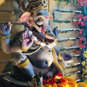 Meet your Posher, Sangeeta